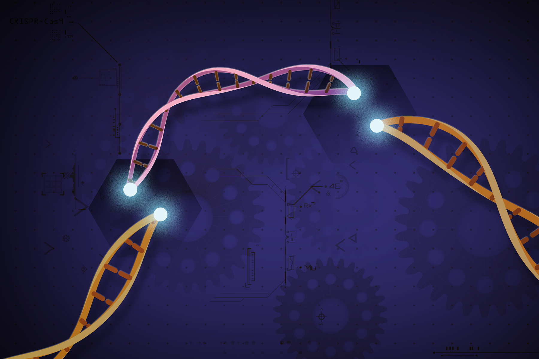 CRISPR Hits Another Snag; But It’s Two Steps Forward, One Step Back