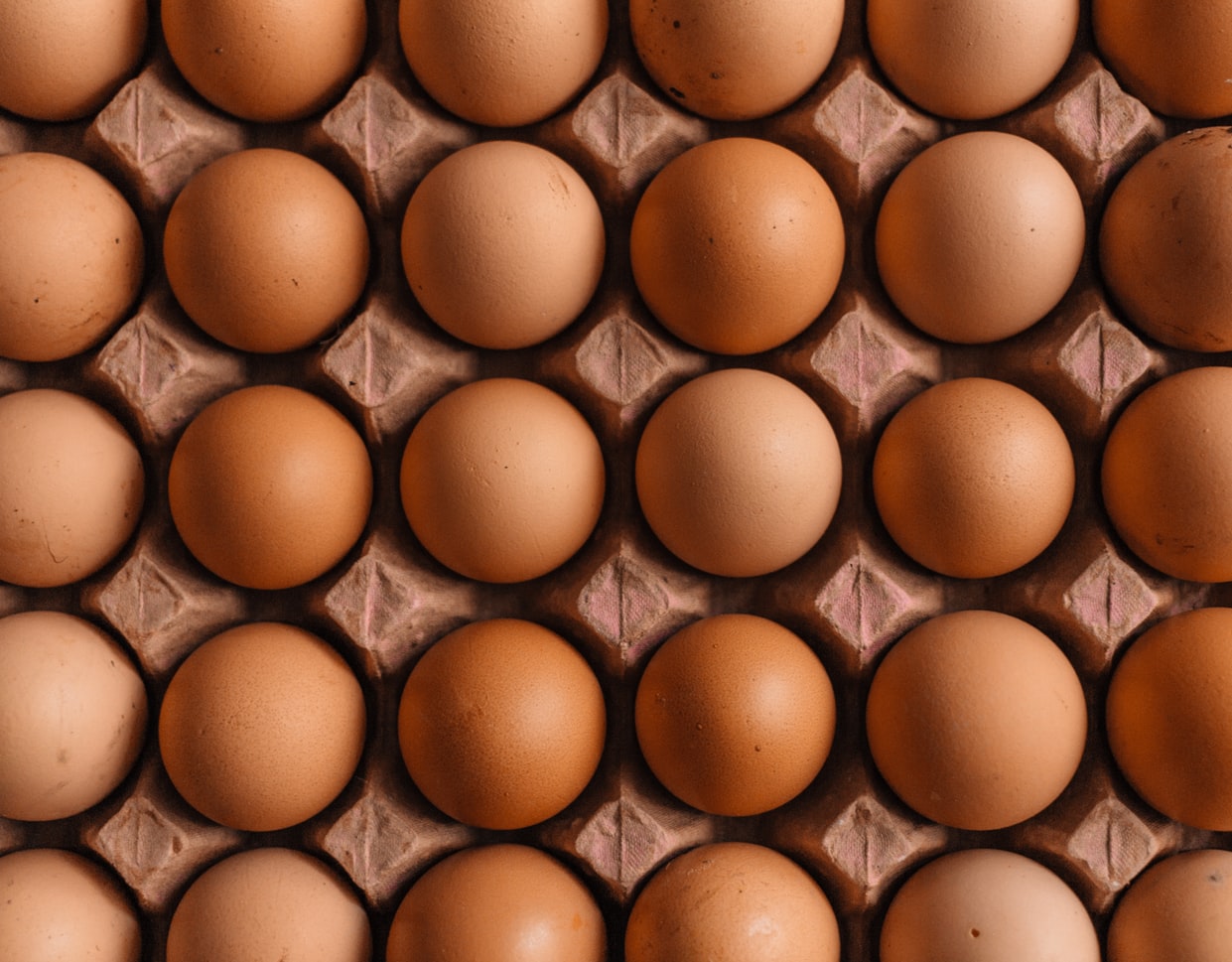 Egg & Poultry Stock Prices Have Diverged in the US. What’s Next?