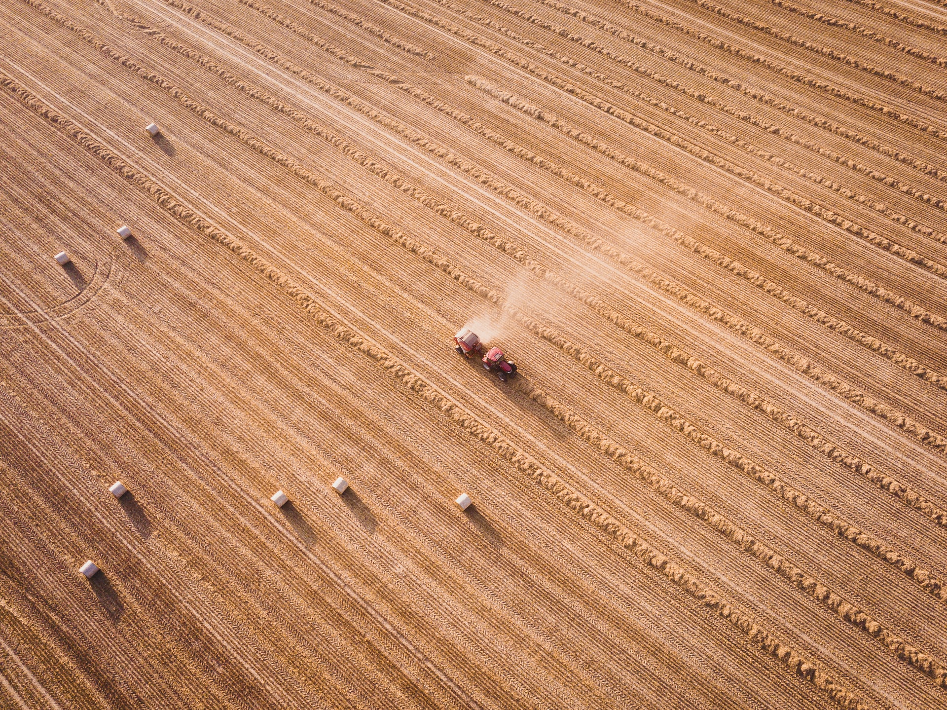 Crop Prices Move Higher on Continued Drought Concerns, USDA Lowers Yield Forecasts