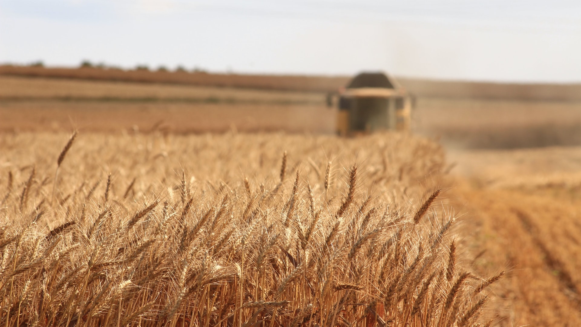 Soaring Fertilizer Prices Threaten to Diminish Crop Yields, Send Futures Even Higher