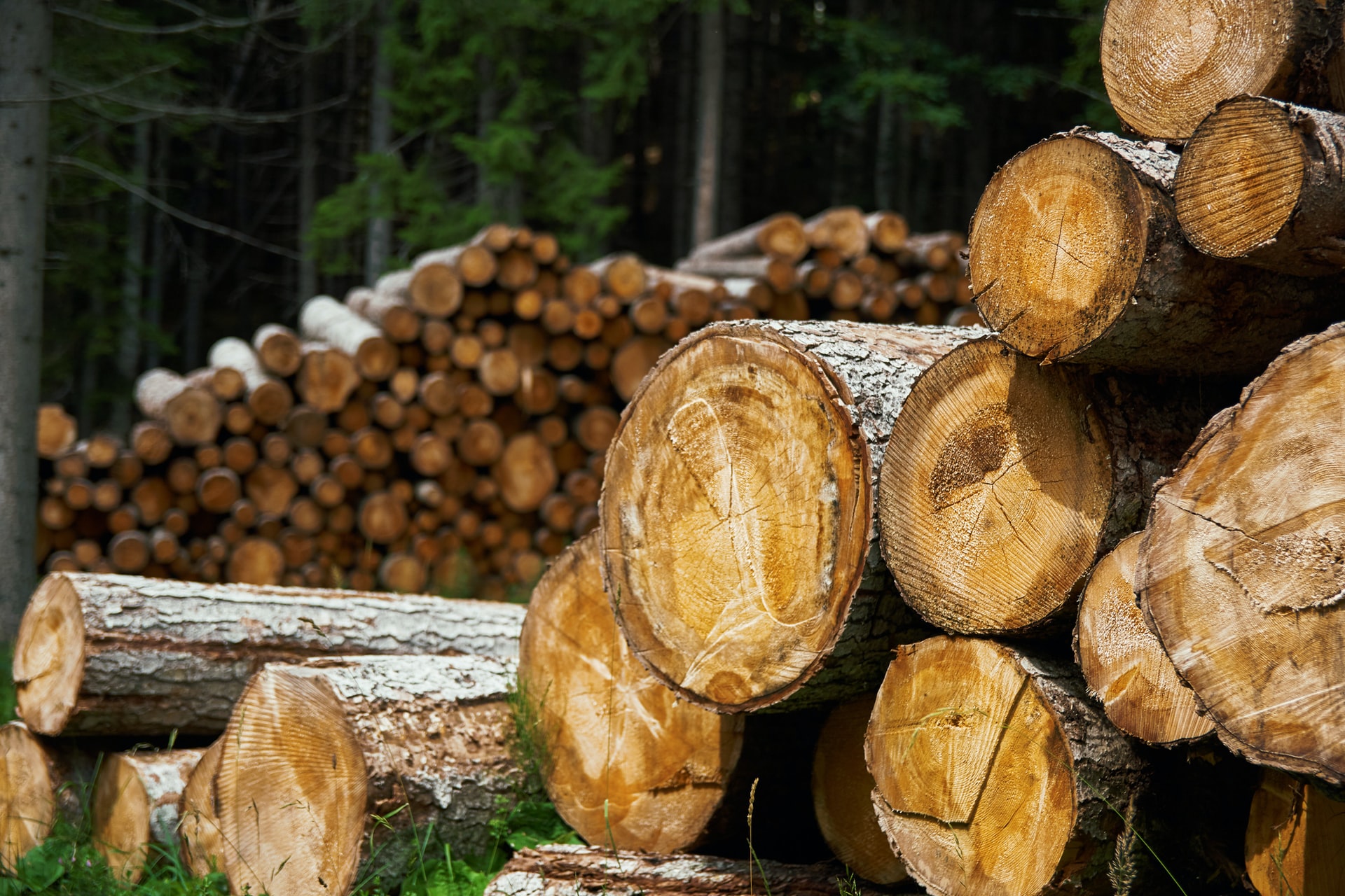 Lumber Prices Higher On Low Inventory and New Tariffs, Housing Data Points Toward Robust Demand in 2022