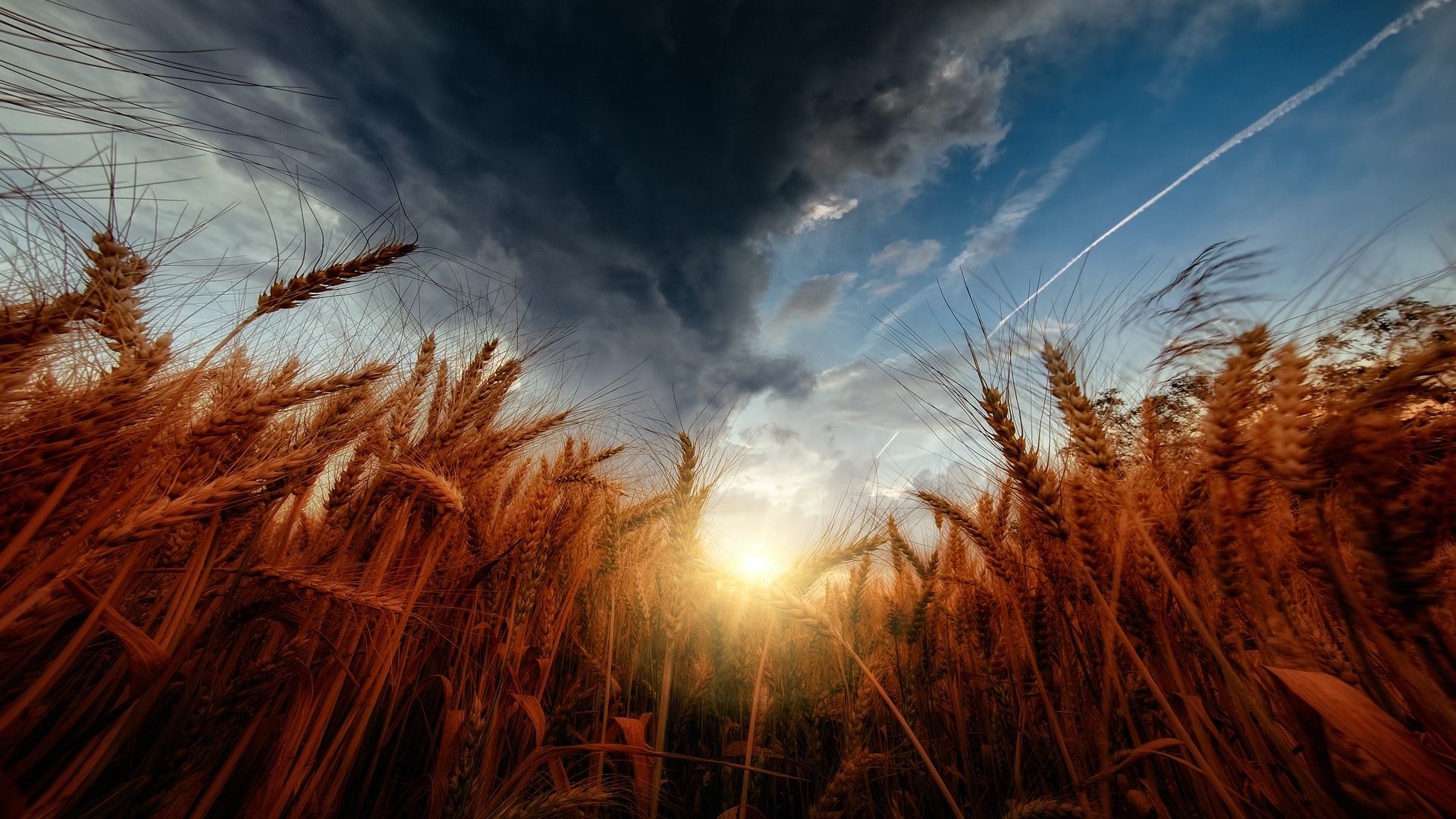 Crop Prices Soar Amid Russian Invasion, Drought Conditions, and Rising Fertilizer Costs