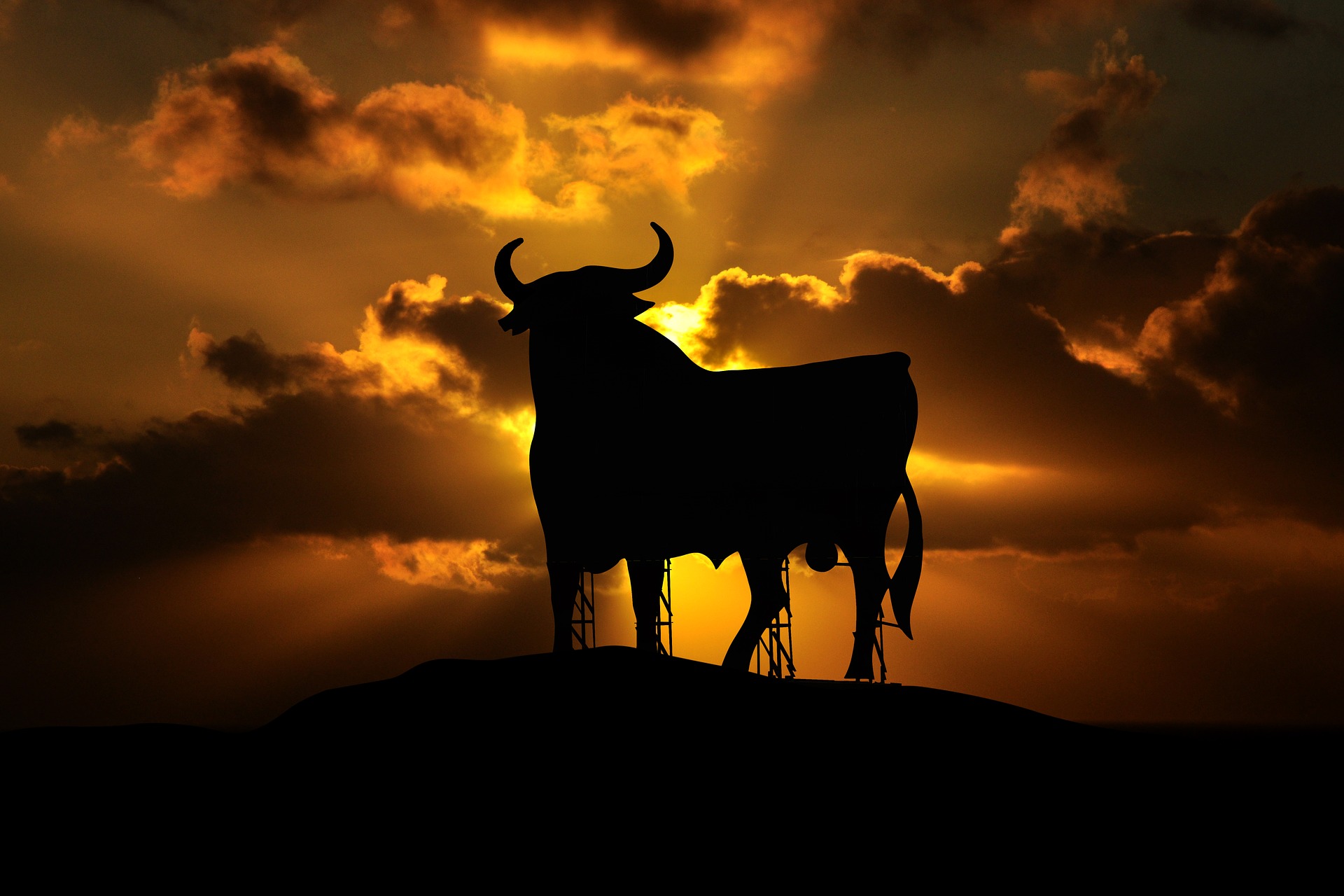 Eulogy for a Bull Market