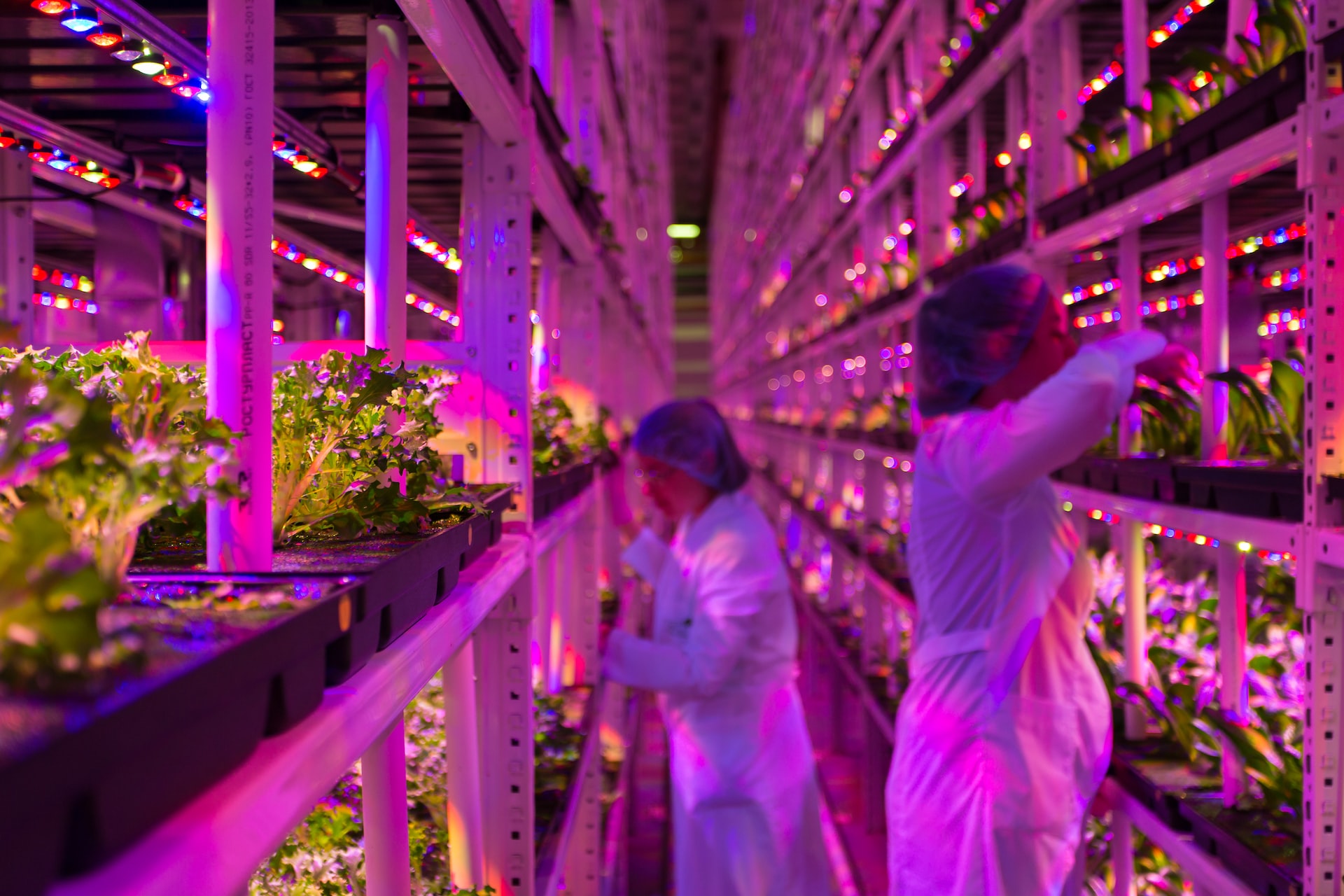 Vertical Farming Could Shore up Future Food Security as the World Faces Drought and Instability