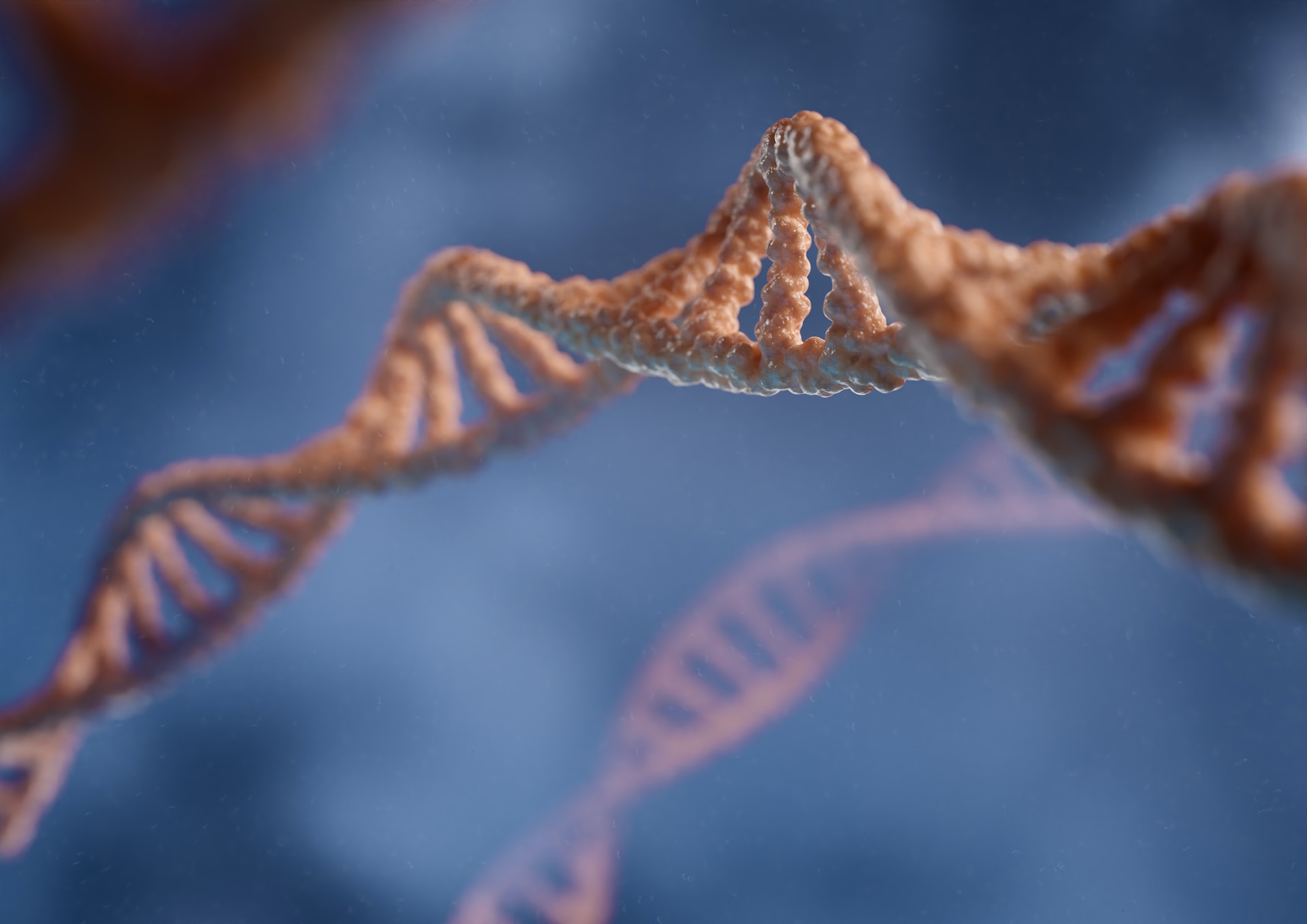 More FDA Approvals Arise in Gene Editing Space, Renewed VC Rounds Begin to Ramp Up
